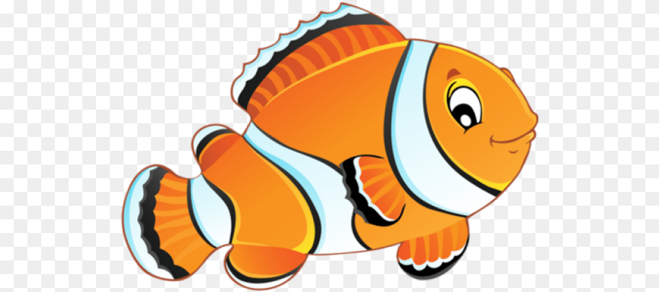 Clown Fish Clipart Gold Fish Cartoon Drawing, Amphiprion, Animal, Sea Life, Baby Free Transparent Png