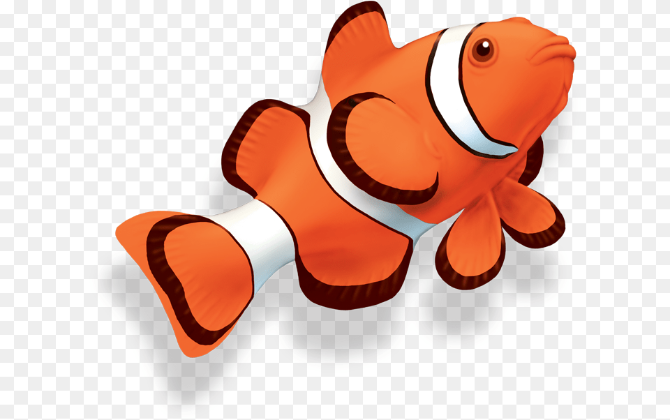 Clown Fish Clown Fish, Amphiprion, Animal, Sea Life Free Png Download