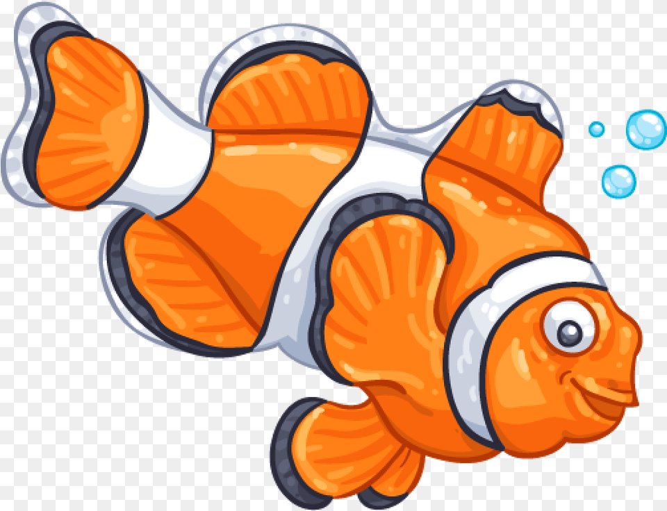 Clown Fish Clownfish, Animal, Sea Life, Amphiprion Free Png Download