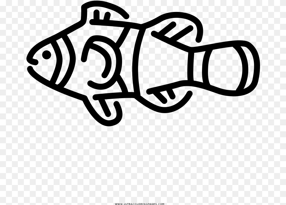 Clown Fish Coloring, Gray Png Image