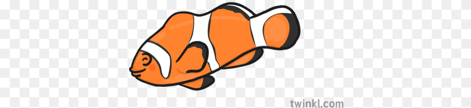 Clown Fish New Copy Illustration Twinkl Banana Illustration Black And White, Amphiprion, Animal, Sea Life, Smoke Pipe Free Png