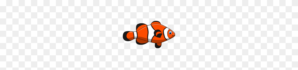 Clown Fish Orange Aquatic Gift Idea, Amphiprion, Animal, Sea Life, Baby Png