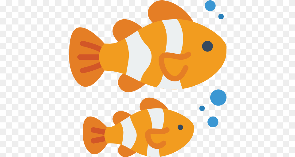 Clownfish Aquarium Fish, Amphiprion, Animal, Sea Life Free Png