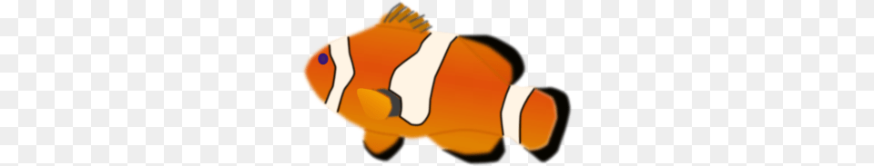 Clownfish Clip Art, Amphiprion, Animal, Fish, Sea Life Free Png Download