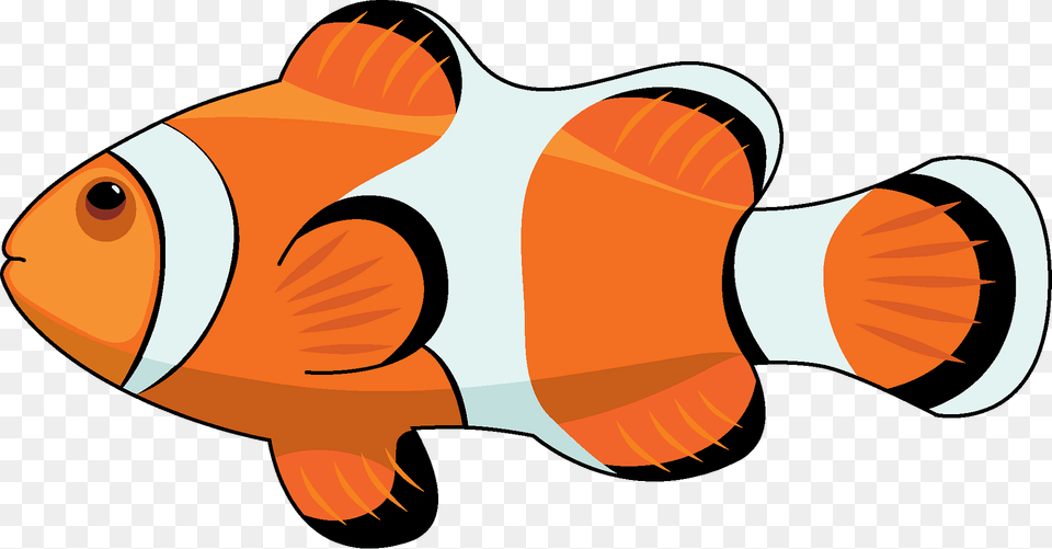 Clownfish Clipart, Amphiprion, Animal, Fish, Sea Life Free Png Download