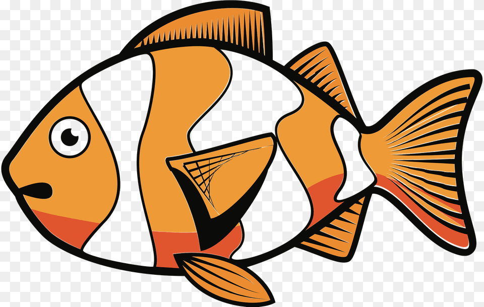 Clownfish Clipart, Animal, Sea Life, Fish, Shark Png