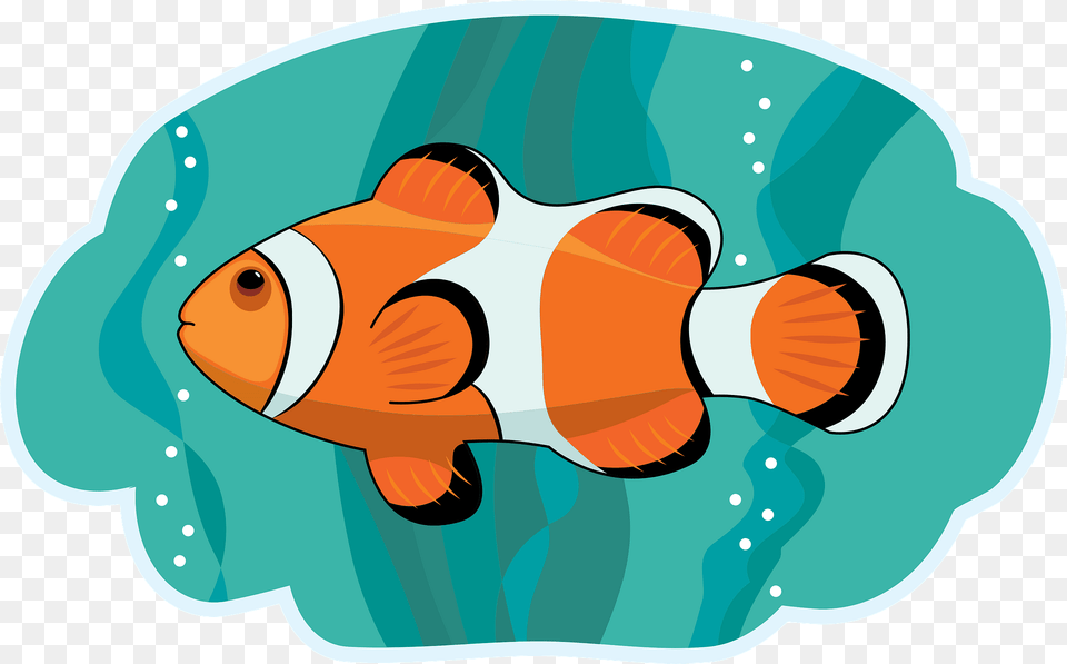 Clownfish Clipart, Amphiprion, Animal, Fish, Sea Life Png Image