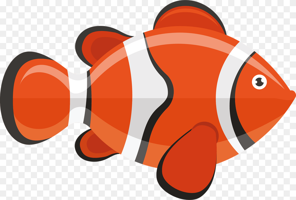 Clownfish Clipart, Amphiprion, Animal, Dynamite, Fish Png