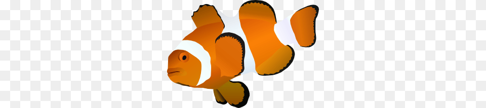 Clownfish Clipart Orange Objects, Amphiprion, Animal, Fish, Sea Life Free Png