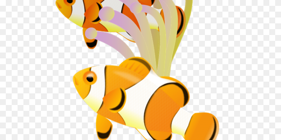 Clownfish Clipart Realistic, Amphiprion, Animal, Fish, Sea Life Png