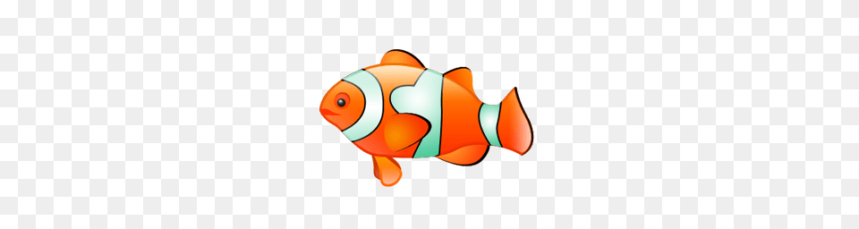 Clownfish Cliparts, Amphiprion, Animal, Fish, Sea Life Free Png