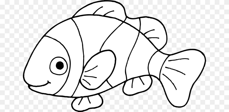 Clownfish Clown Fish Outline Clipart Wikiclipart, Aquatic, Water, Animal, Mammal Free Png