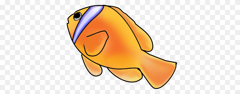 Clownfish Fish Clip Art, Animal, Sea Life, Goldfish, Clothing Png