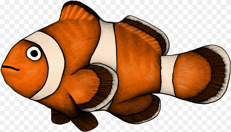 Clownfish Illustration By Mustafa Akman Ocellaris Clownfish, Amphiprion, Animal, Fish, Sea Life Png