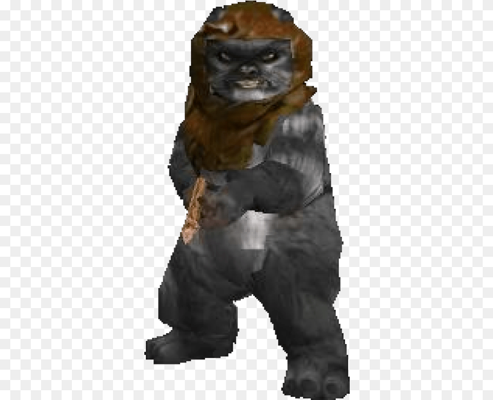 Club And Vectors For Download Dlpngcom Original Star Wars Battlefront 2 Ewok, Mammal, Animal, Ape, Wildlife Free Png