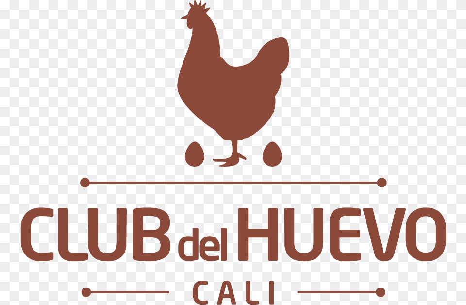 Club Del Huevo, Animal, Bird, Chicken, Fowl Png