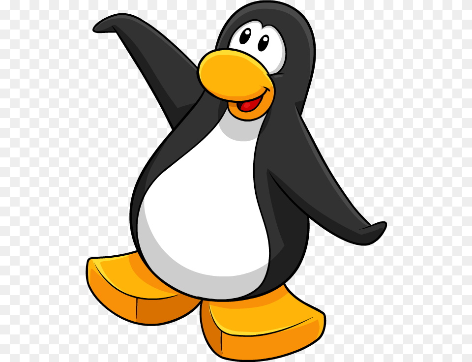 Club Penguin Penguin Stock Club Penguin Black Penguin, Animal, Bird, Fish, Sea Life Free Transparent Png