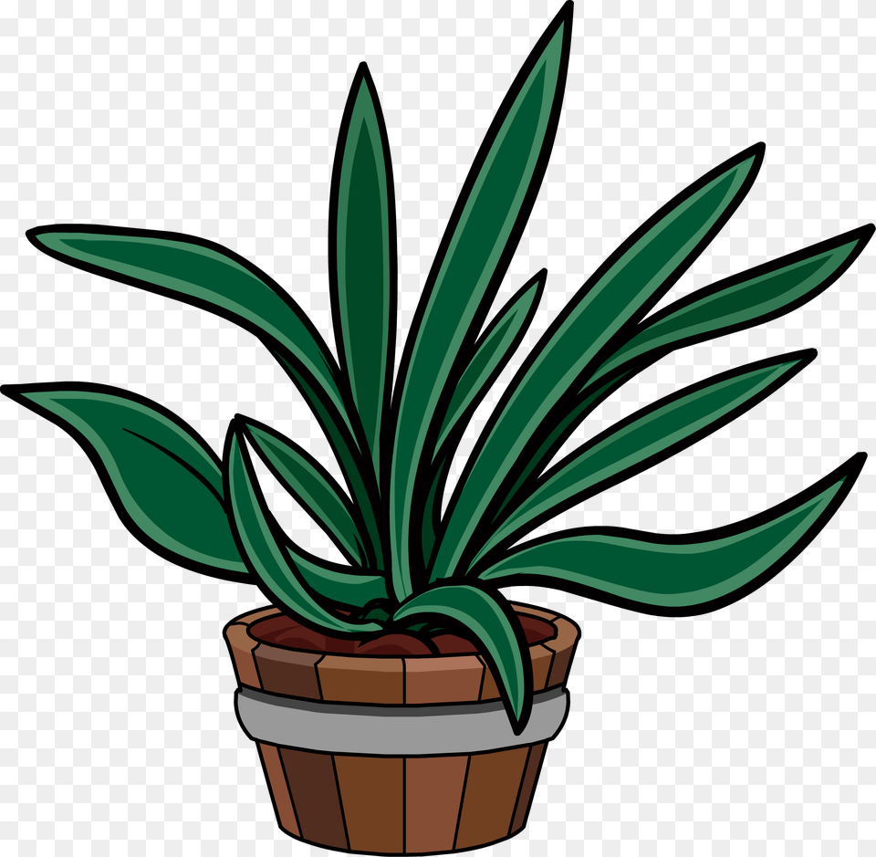 Club Penguin Rewritten Wiki Agave, Plant, Potted Plant, Aloe Free Png