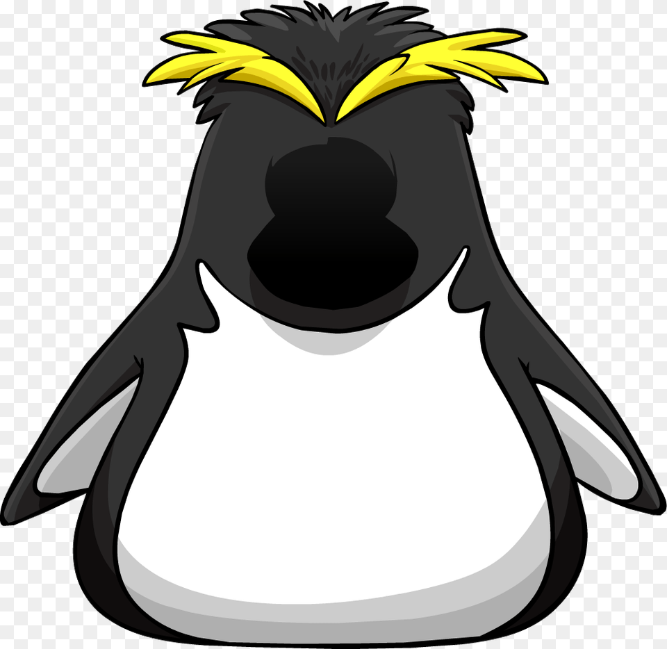 Club Penguin Wiki Club Penguin Costumes, Animal, Bird, Person Png