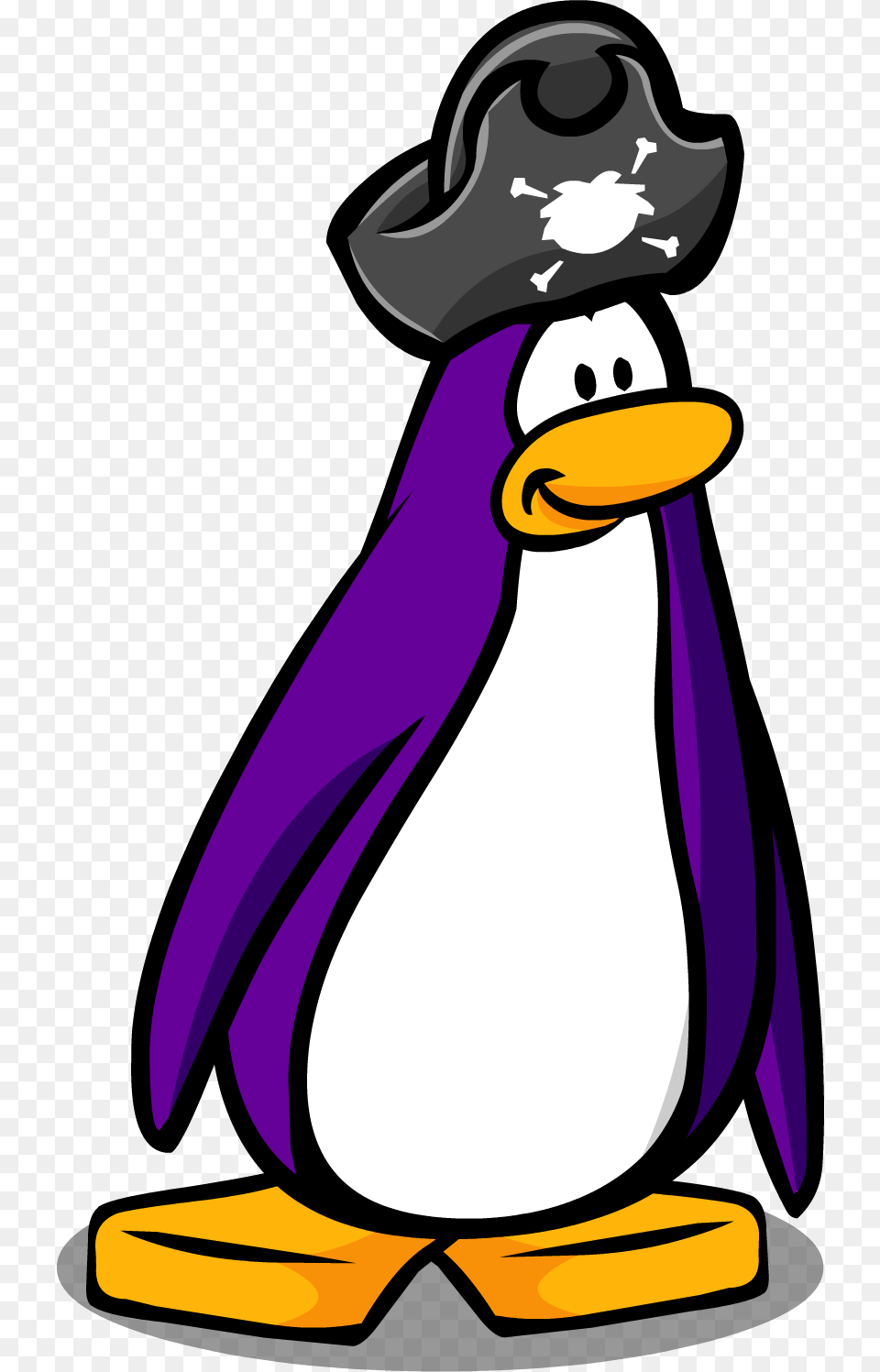 Club Penguin Wiki Pirate Hat Club Penguin Item, Animal, Bird, Nature, Outdoors Png Image