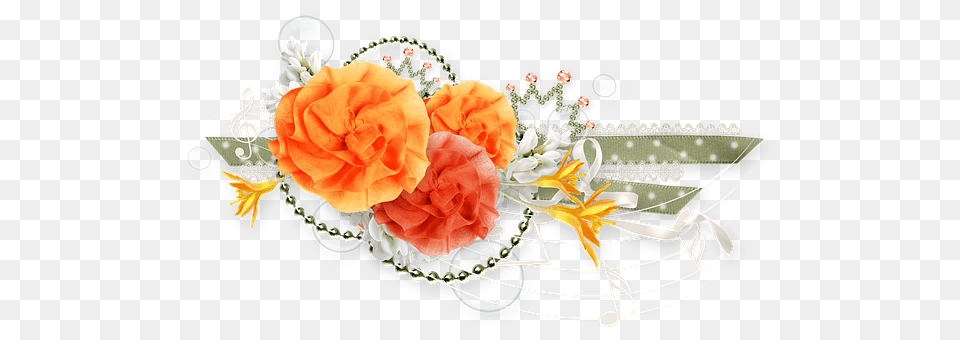 Cluster Rose, Plant, Graphics, Flower Bouquet Free Png Download