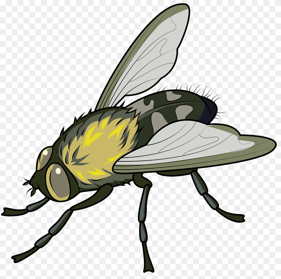 Cluster Fly Clipart, Animal, Insect, Invertebrate, Fish Free Transparent Png