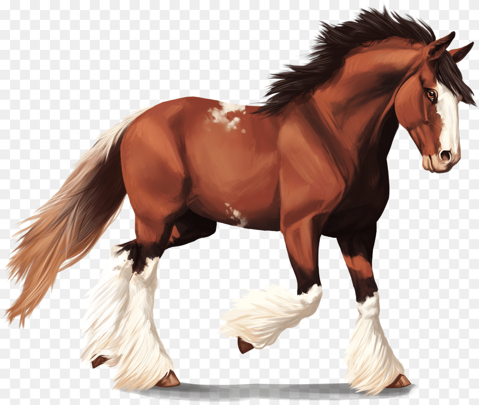 Clydesdale Horse By Memuii D8ml2qh Clydesdale, Animal, Colt Horse, Mammal, Stallion Free Transparent Png