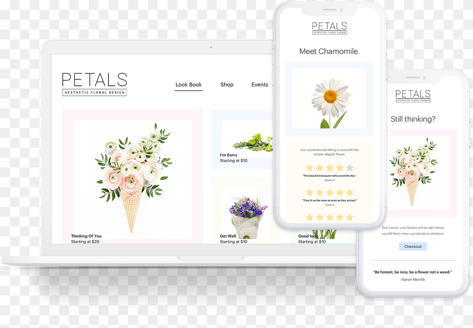 Cm Commerce Emails Jasmine, Page, Text, Plant, Flower Png