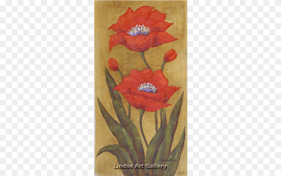 Cm Lindos Art Gallery, Flower, Plant, Floral Design, Graphics Free Png