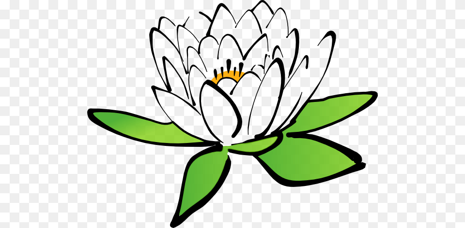 Cmc Quest Clip Art, Flower, Plant, Lily, Pond Lily Free Png