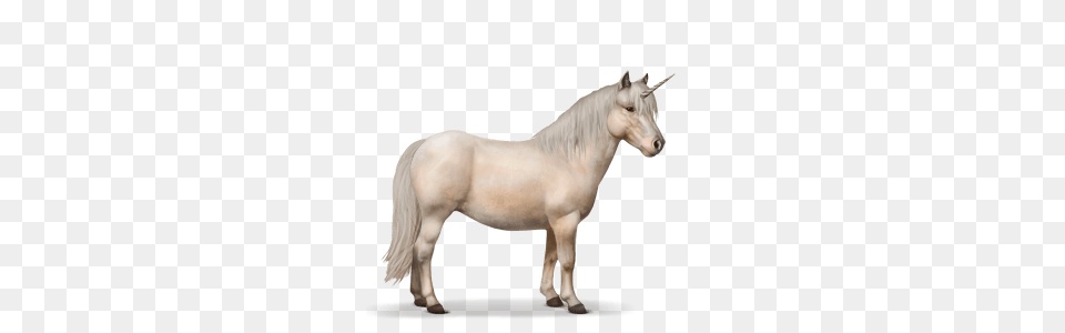 Cml, Animal, Horse, Mammal, Stallion Free Png