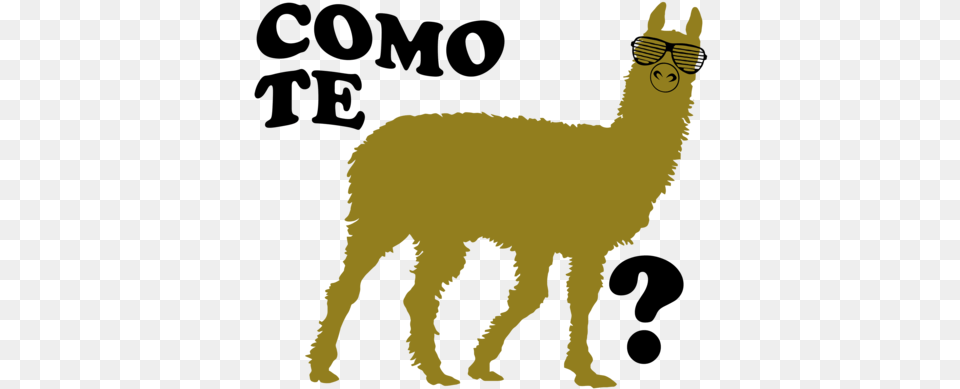 Cmo Te Llamas, Animal, Llama, Mammal, Person Free Png Download