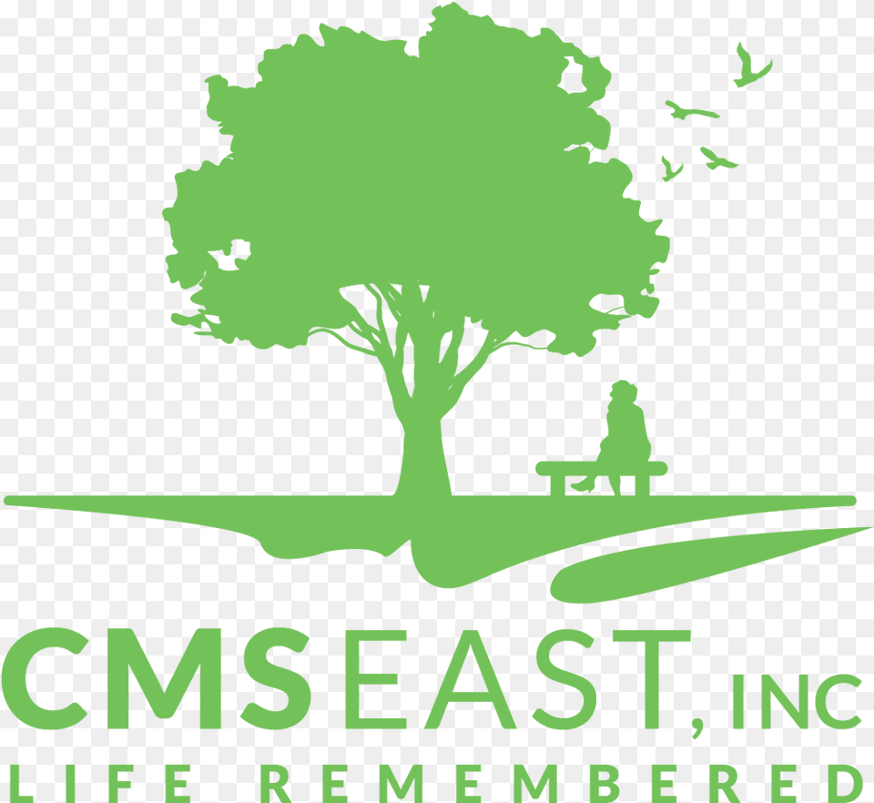 Cms East Logo Greenwood Logo, Tree, Plant, Green, Oak Free Png Download