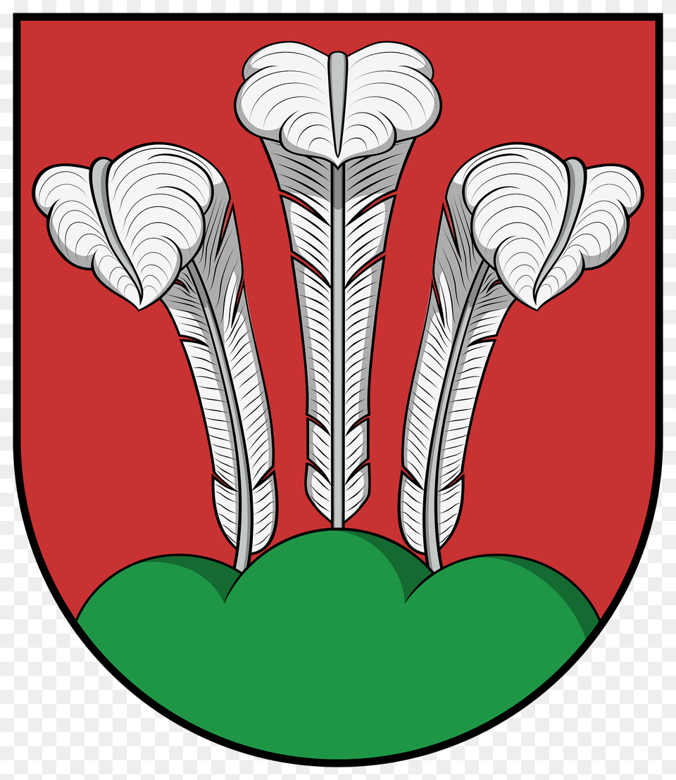 Coa Austria Town Sarleinsbach Clipart, Art Png