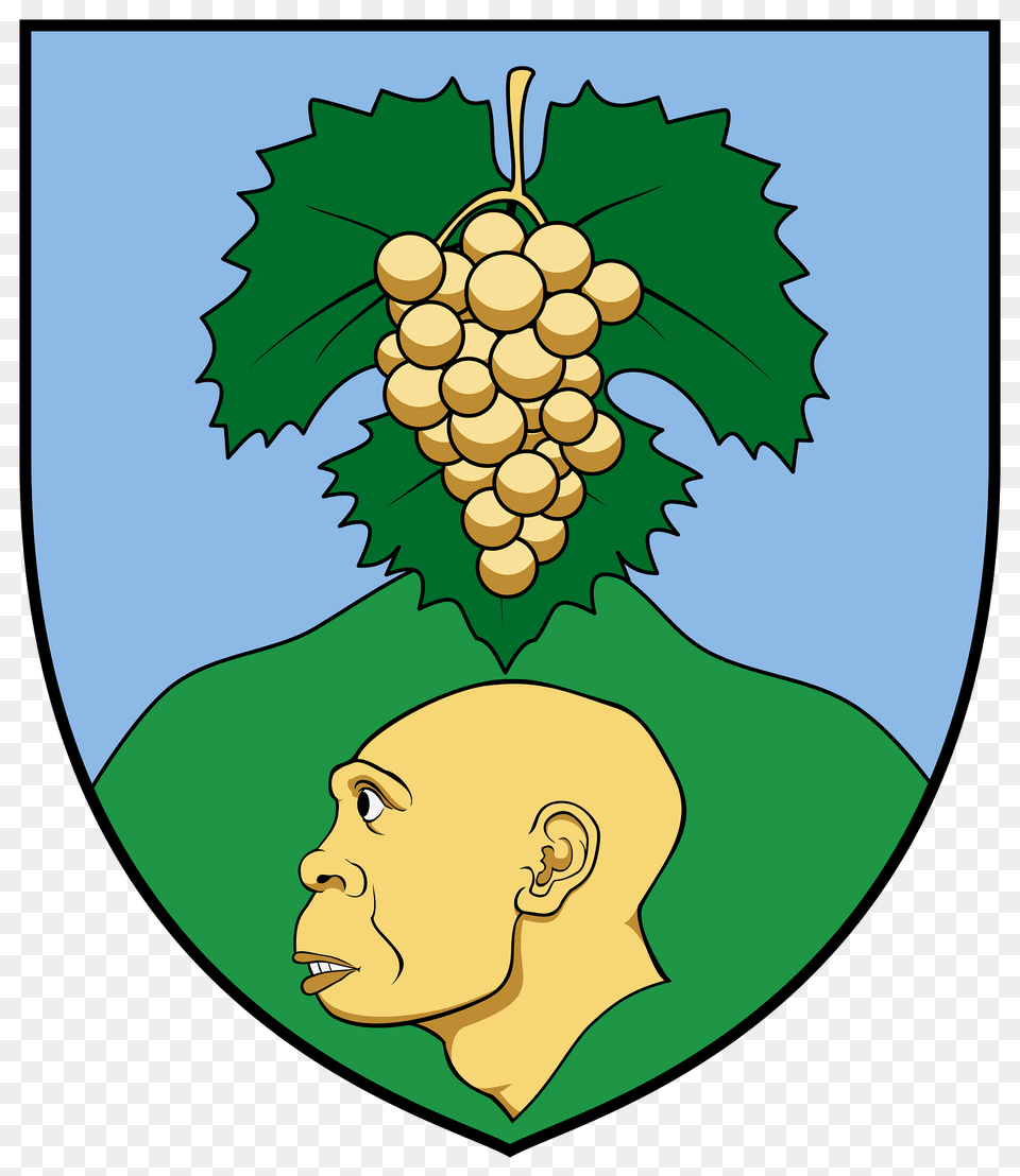 Coa Hungary Town Vrtesszls Clipart, Head, Face, Person, Plant Free Png Download