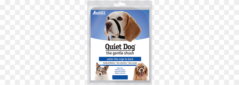 Coa Quiet Dog, Advertisement, Poster, Animal, Canine Free Png