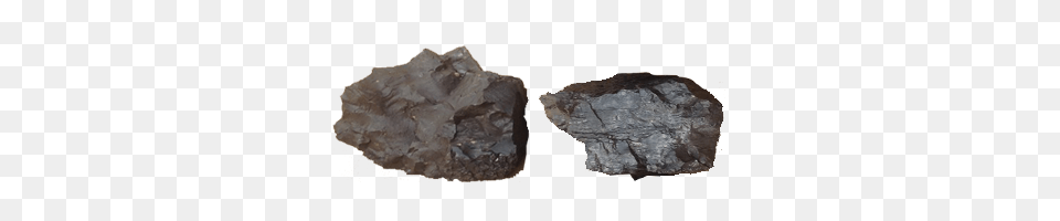 Coal, Anthracite, Rock, Mineral, Animal Free Transparent Png