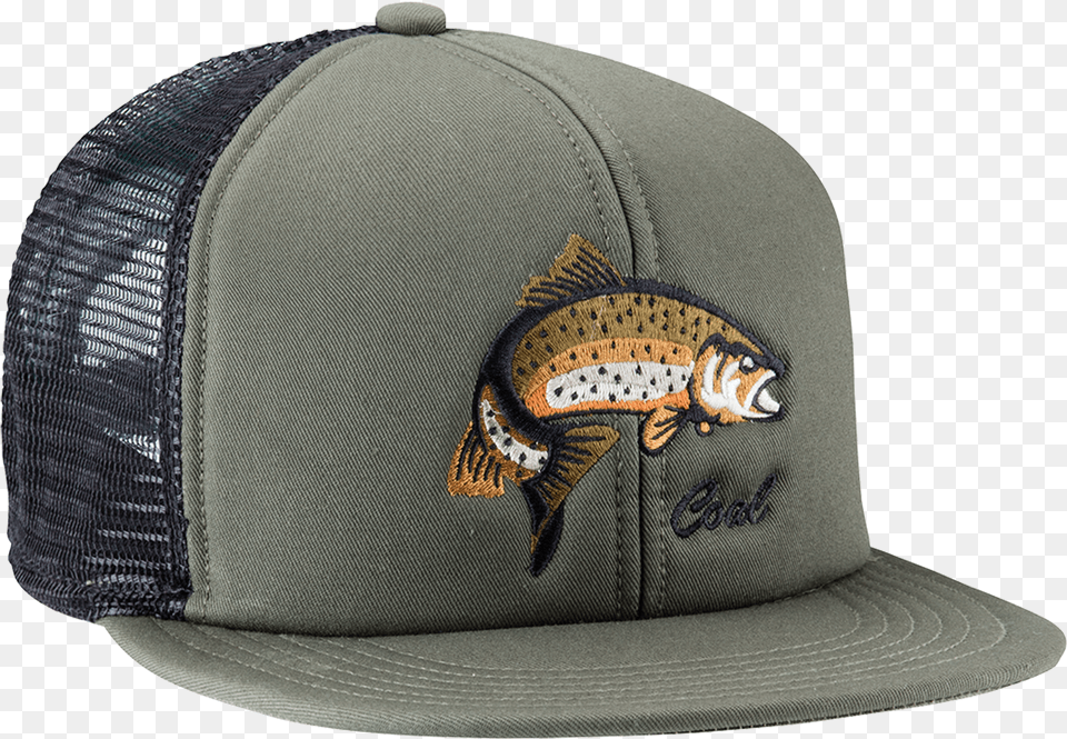 Coal The Wilds Hat Olive Baseball Cap, Baseball Cap, Clothing, Animal, Bird Free Png