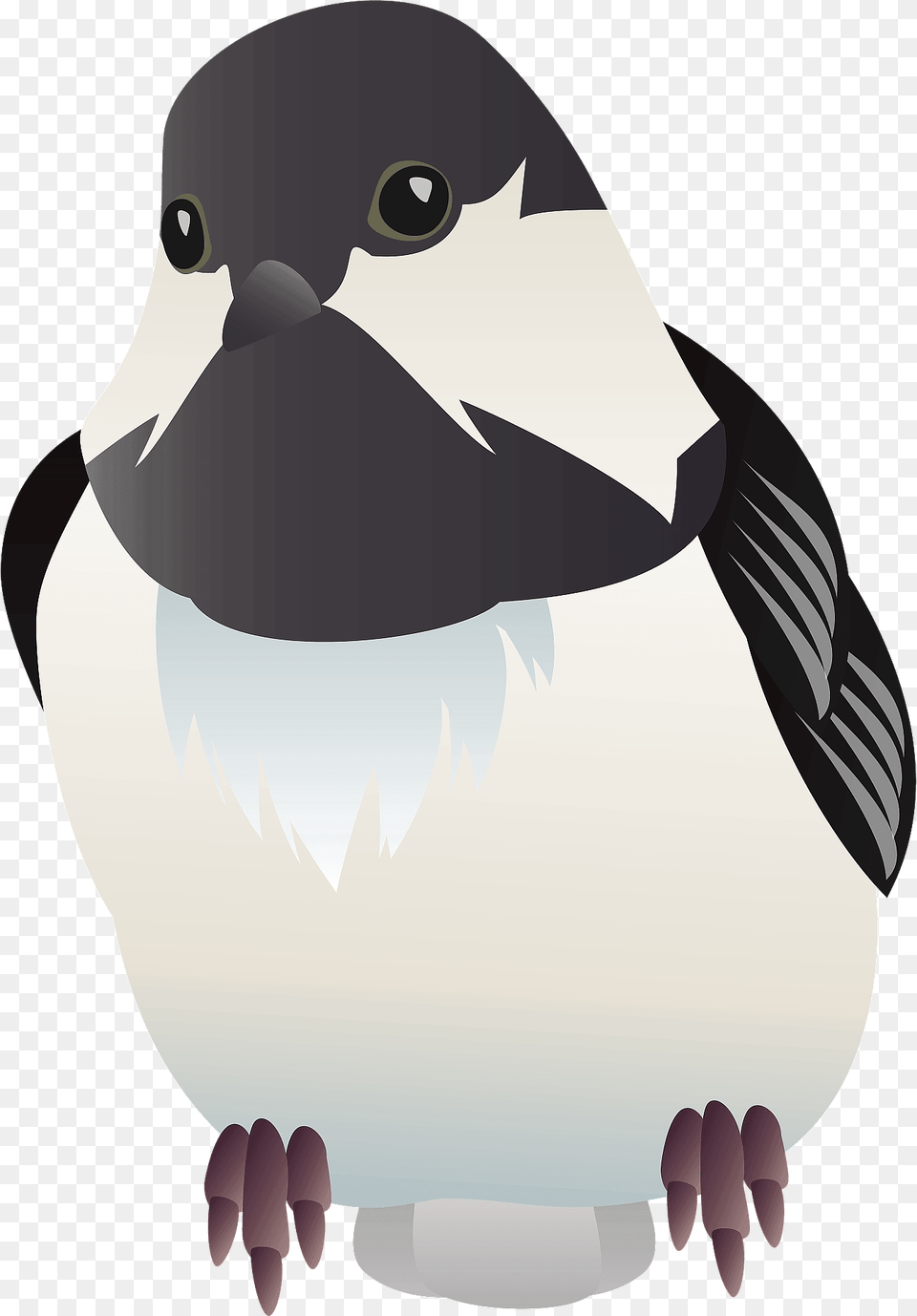 Coal Tit Bird Clipart, Animal, Finch, Fish, Sea Life Free Transparent Png