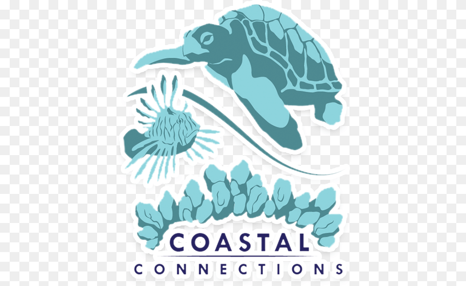 Coastal Connections Vero Beach, Animal, Dinosaur, Reptile, Sea Life Free Png