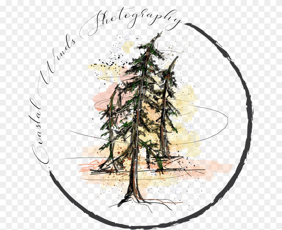 Coastal Winds Photography Sketch, Art, Tree, Plant, Painting Png Image
