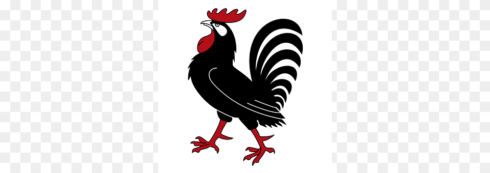 Coat Of Arms Animal, Bird, Chicken, Fowl Png