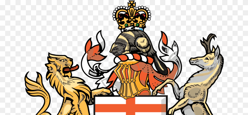 Coat Of Arms, Baby, Person Free Png