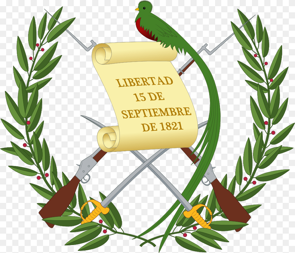 Coat Of Arms Of Guatemala, Plant, Vegetation, Conifer, Tree Png