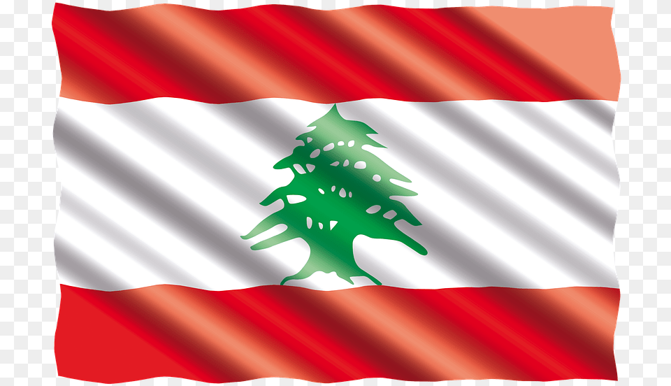 Coat Of Arms Of Lebanon, Plant, Tree, Flag Free Transparent Png