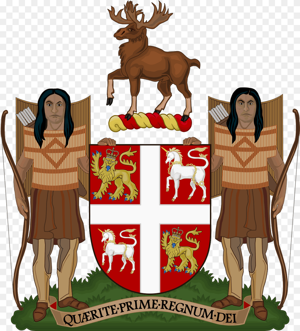 Coat Of Arms Of Newfoundland And Labrador Nl Coat Of Arms, Adult, Person, Woman, Female Png Image
