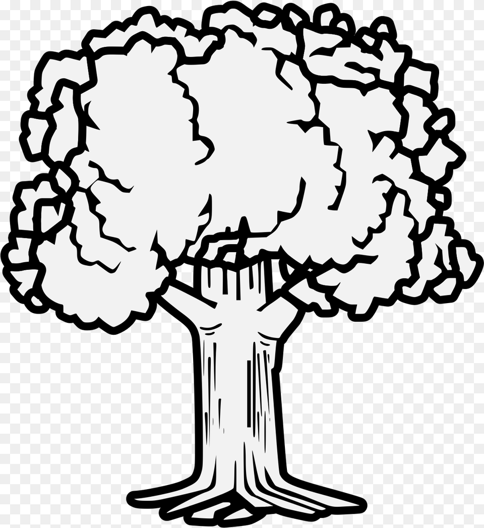 Coat Of Arms Trees, Art, Person, Fire, Face Free Png