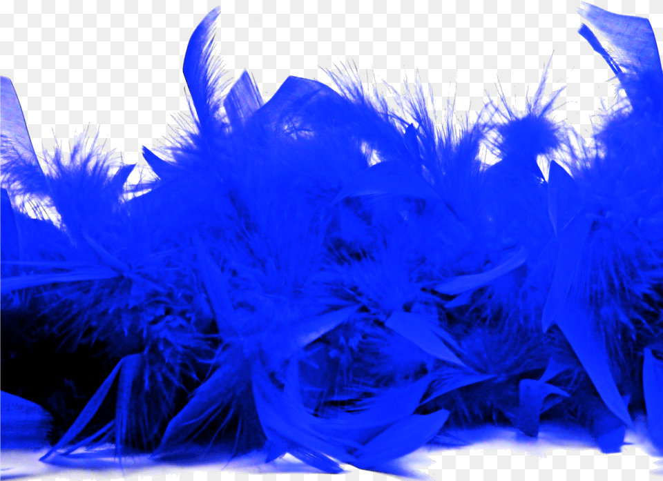 Cobalt Blue, Accessories, Feather Boa Free Png