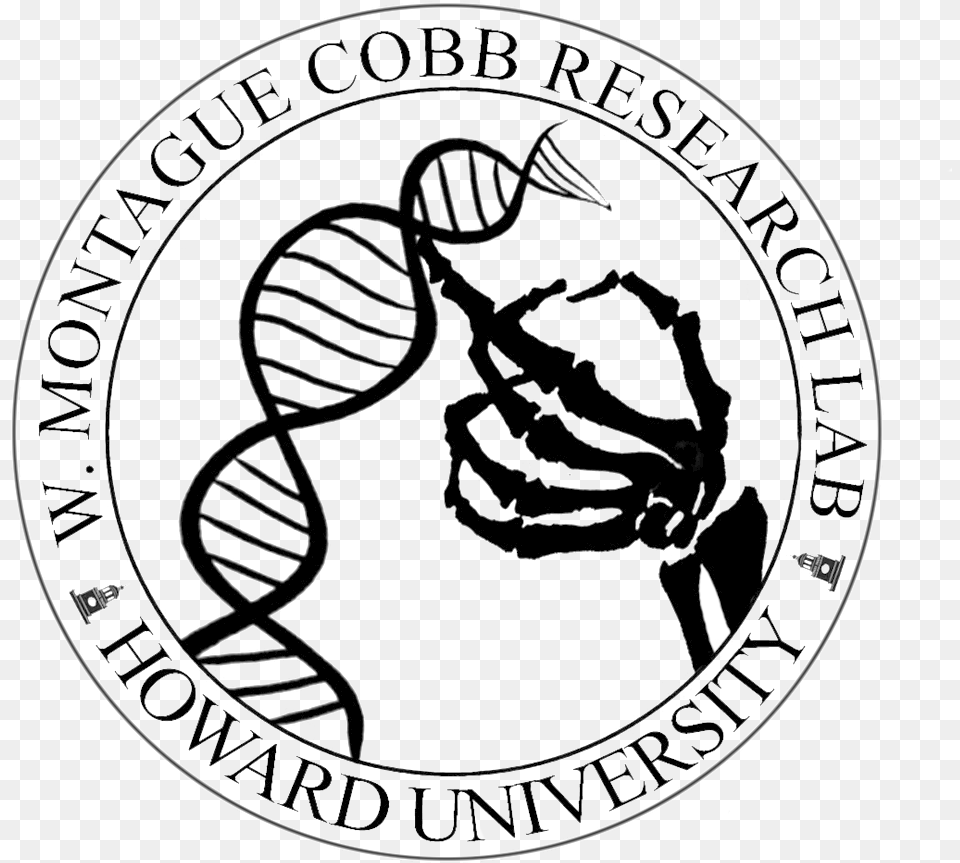 Cobb Seal Clear Black Illustration, Emblem, Symbol, Person, Coin Png Image