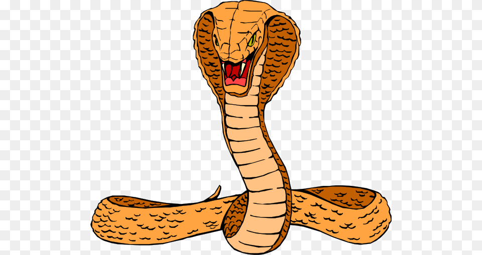 Cobra, Animal, Reptile, Snake Free Png Download